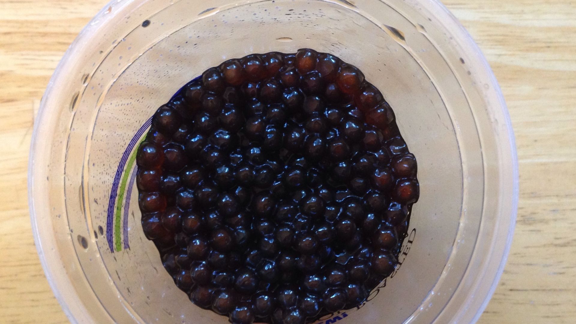 File:Boba by Joy 2.jpg