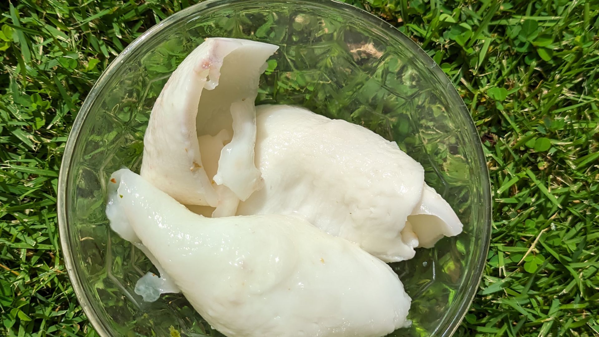 File:Coconut jelly in a glass bowl on grass top view.jpg