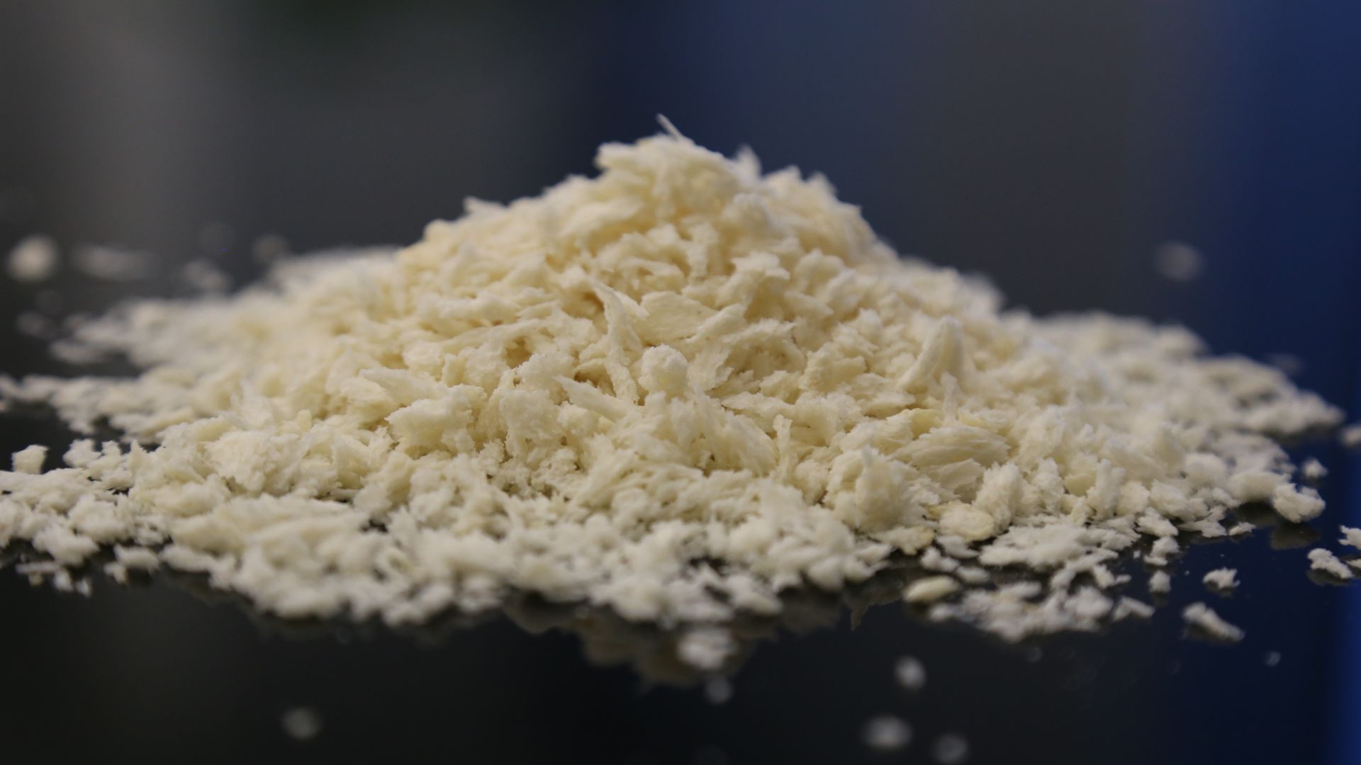 File:011221-White-IMG 3991.jpg