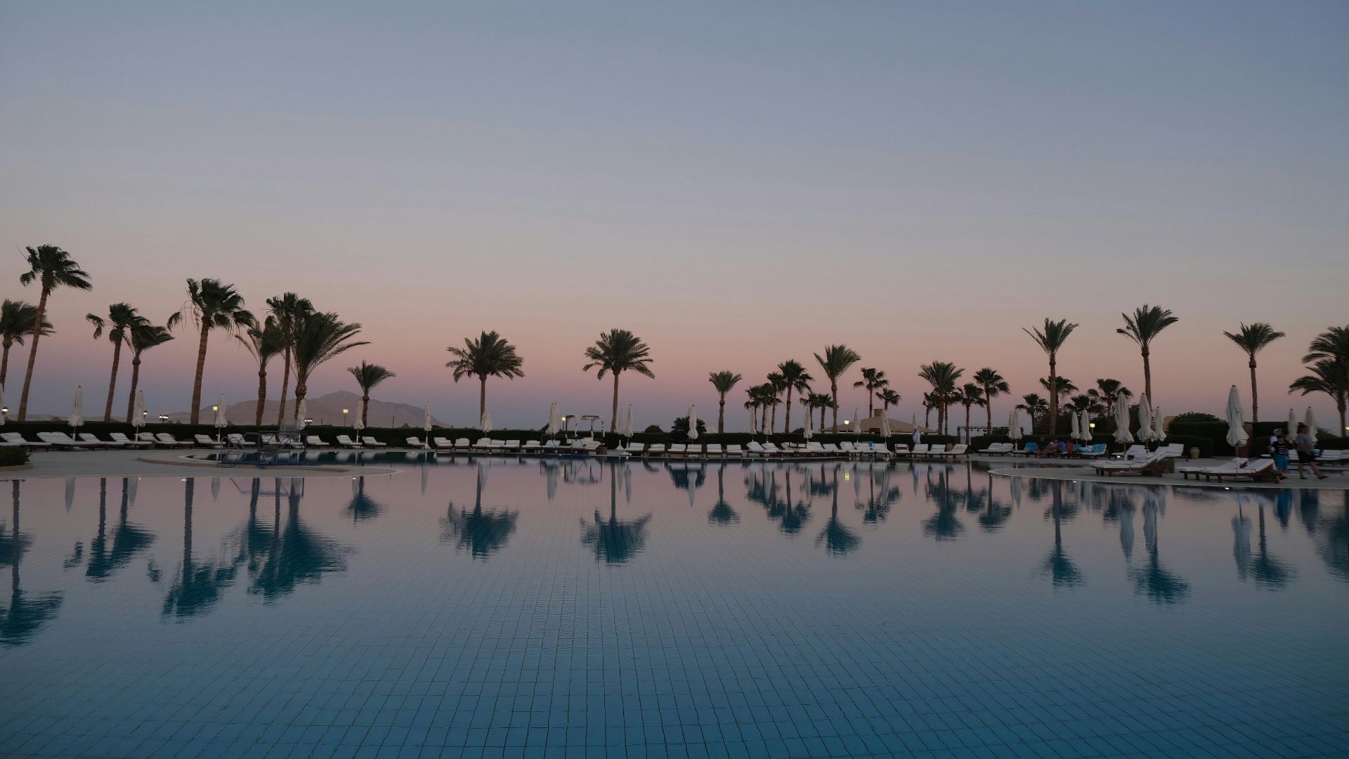 green palm trees near body of water during daytime