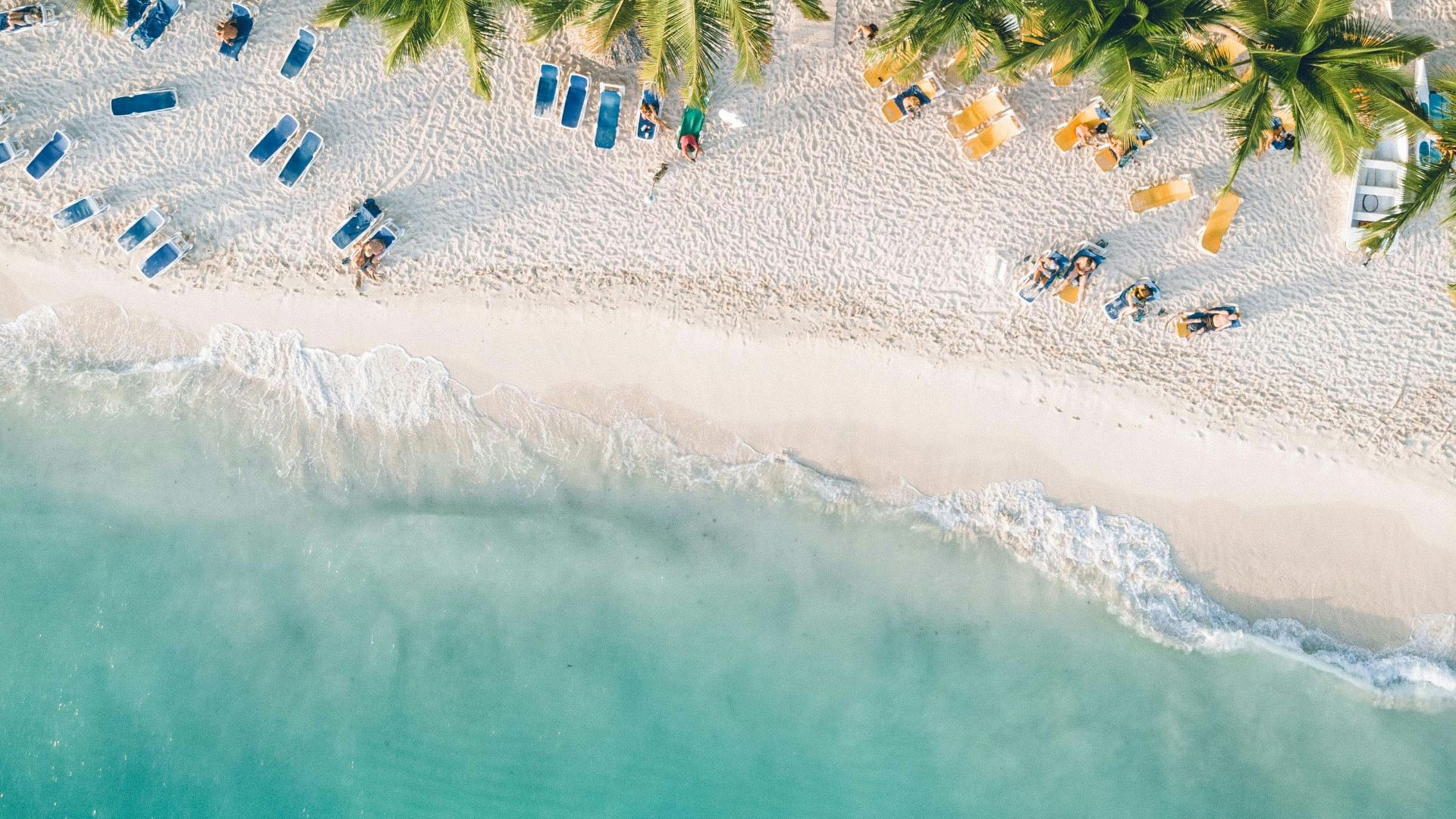 an aerial view of a beach with chairs and palm trees