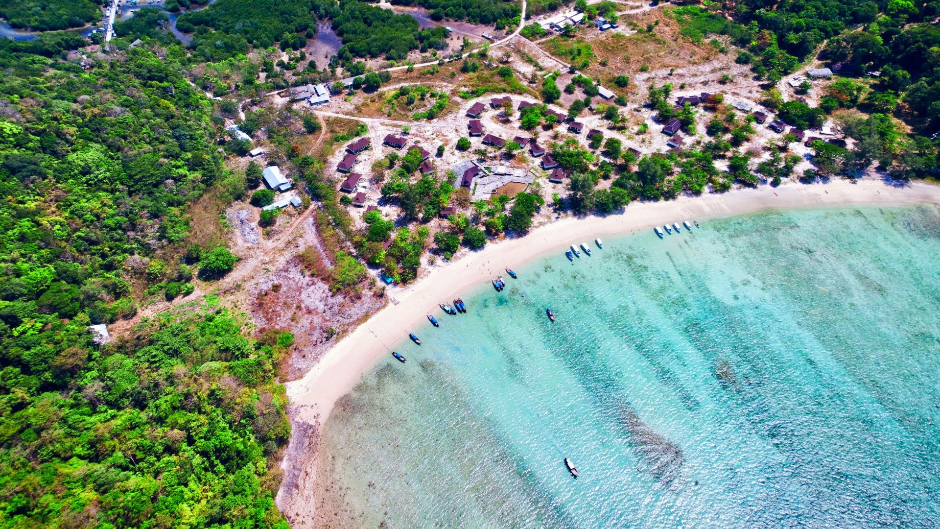 aerial view photo of beach