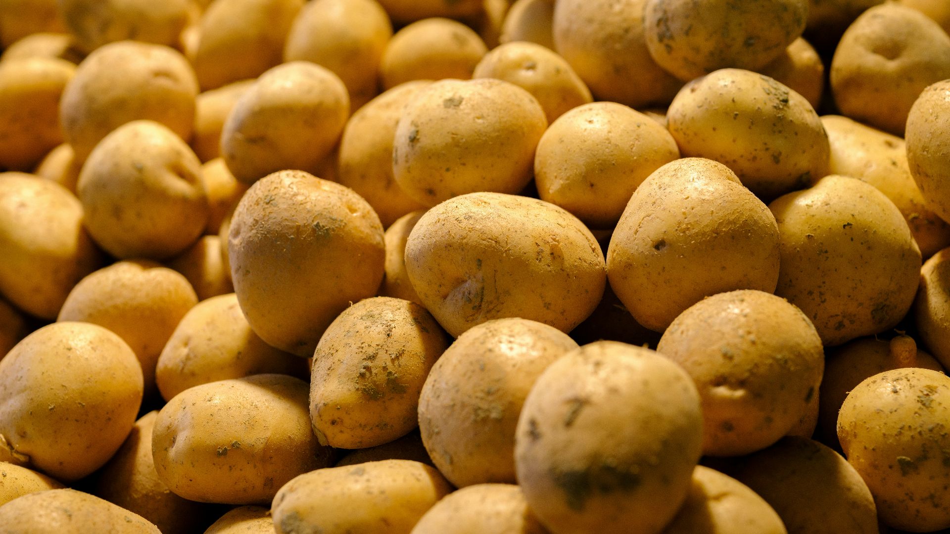 a pile of potatoes sitting on top of a table