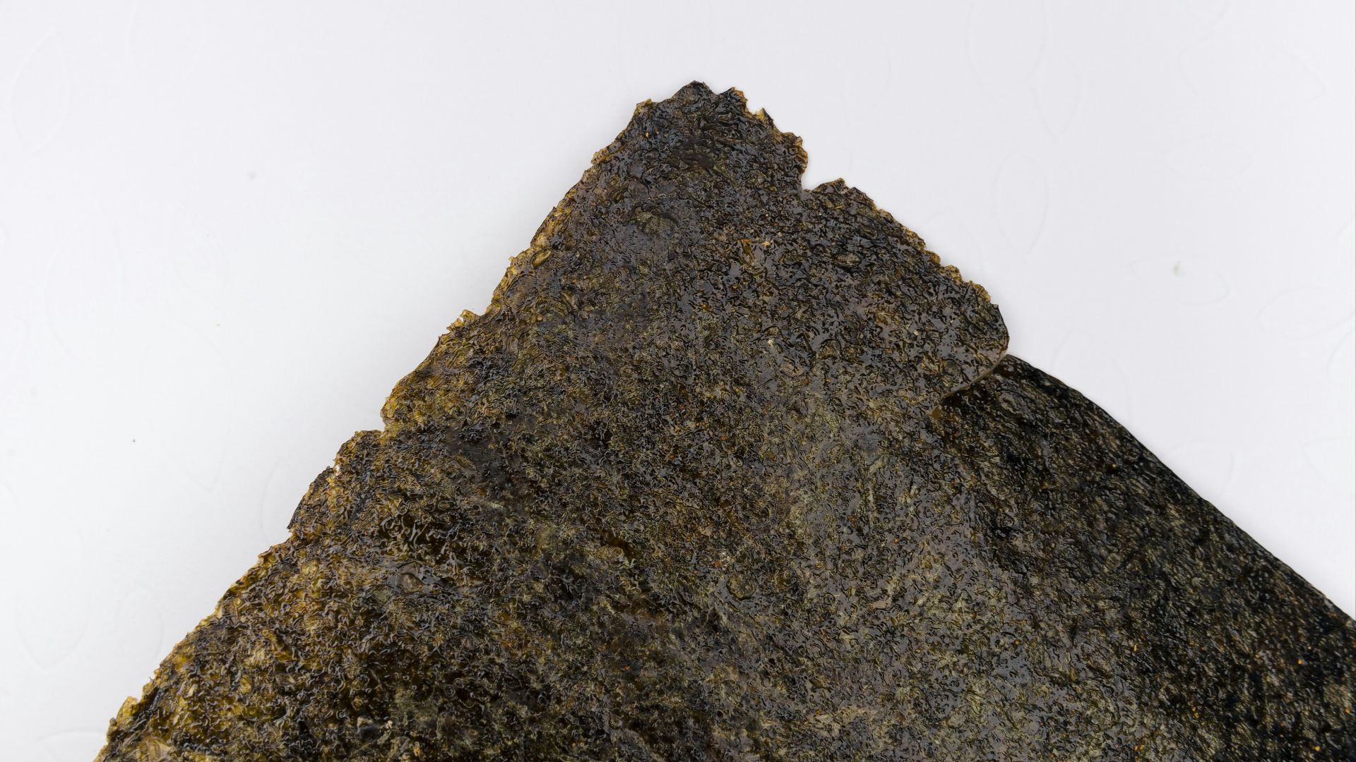 brown rock formation on white background