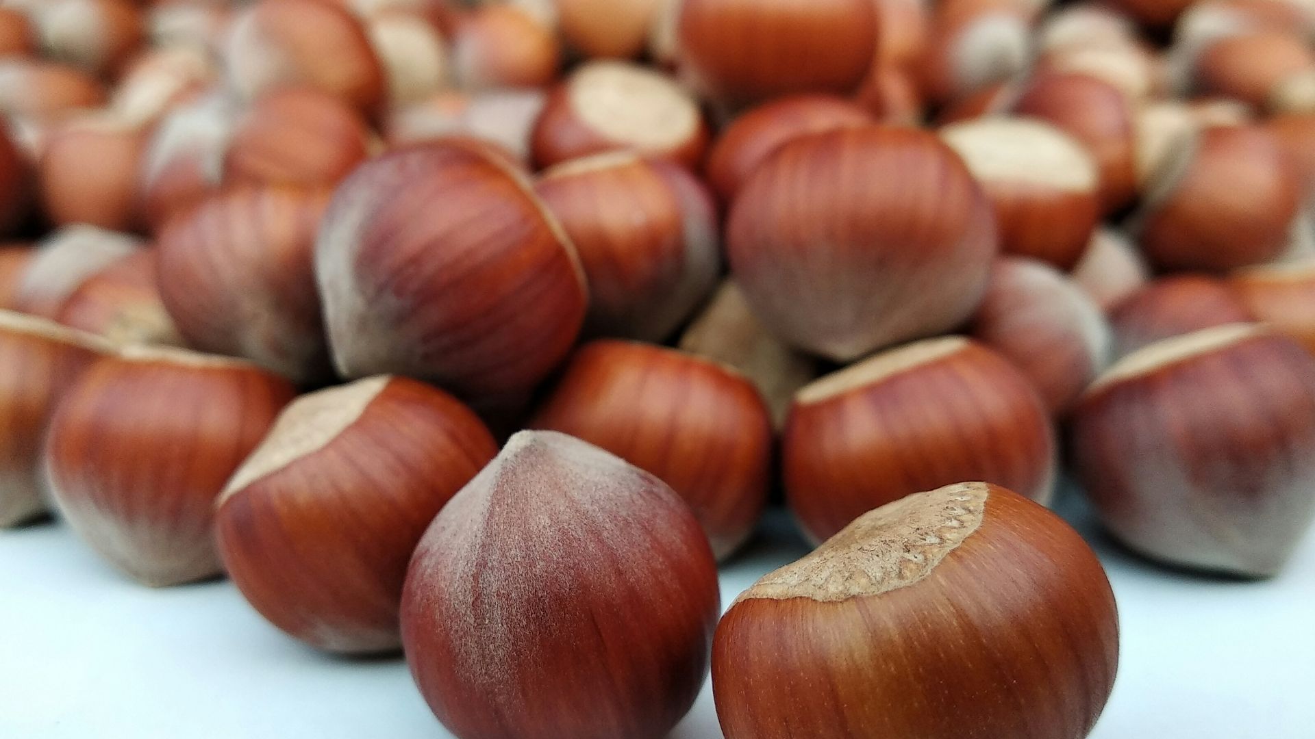 a group of brown round objects
