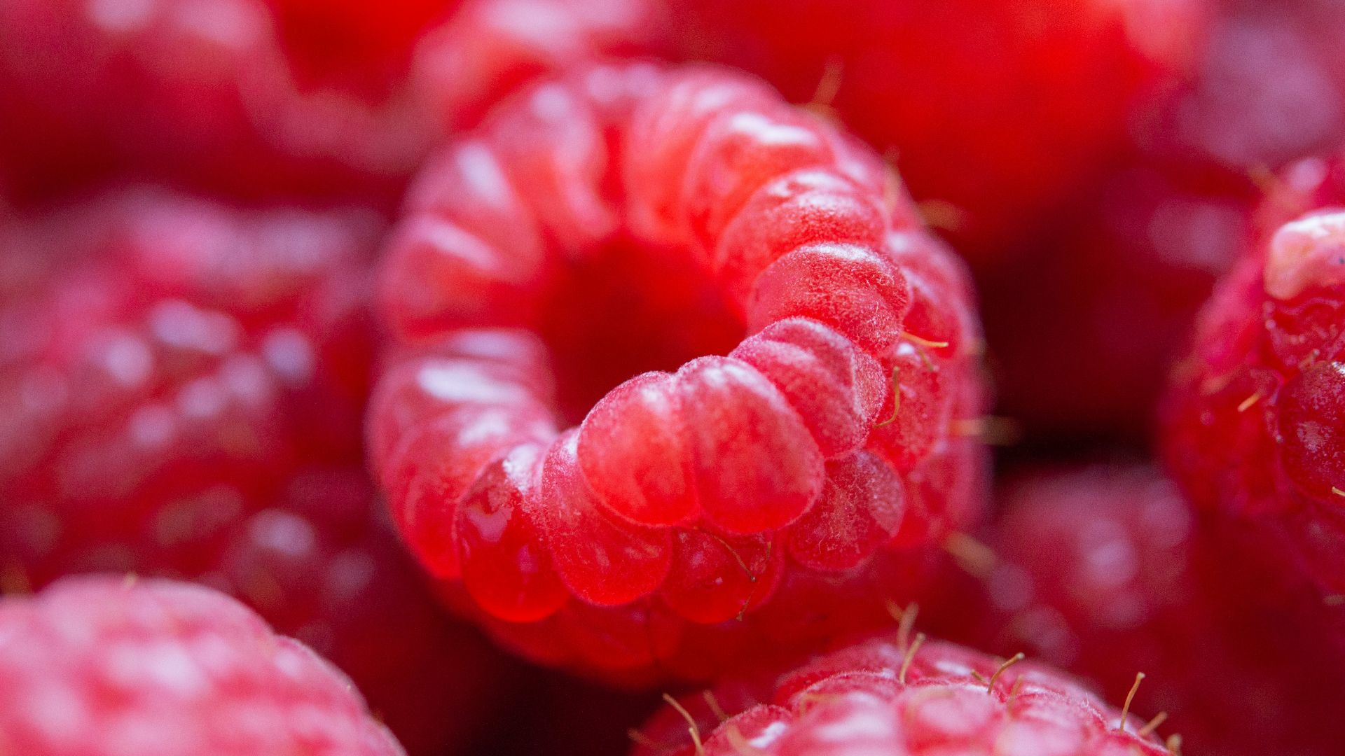 red round fruits in close up photography