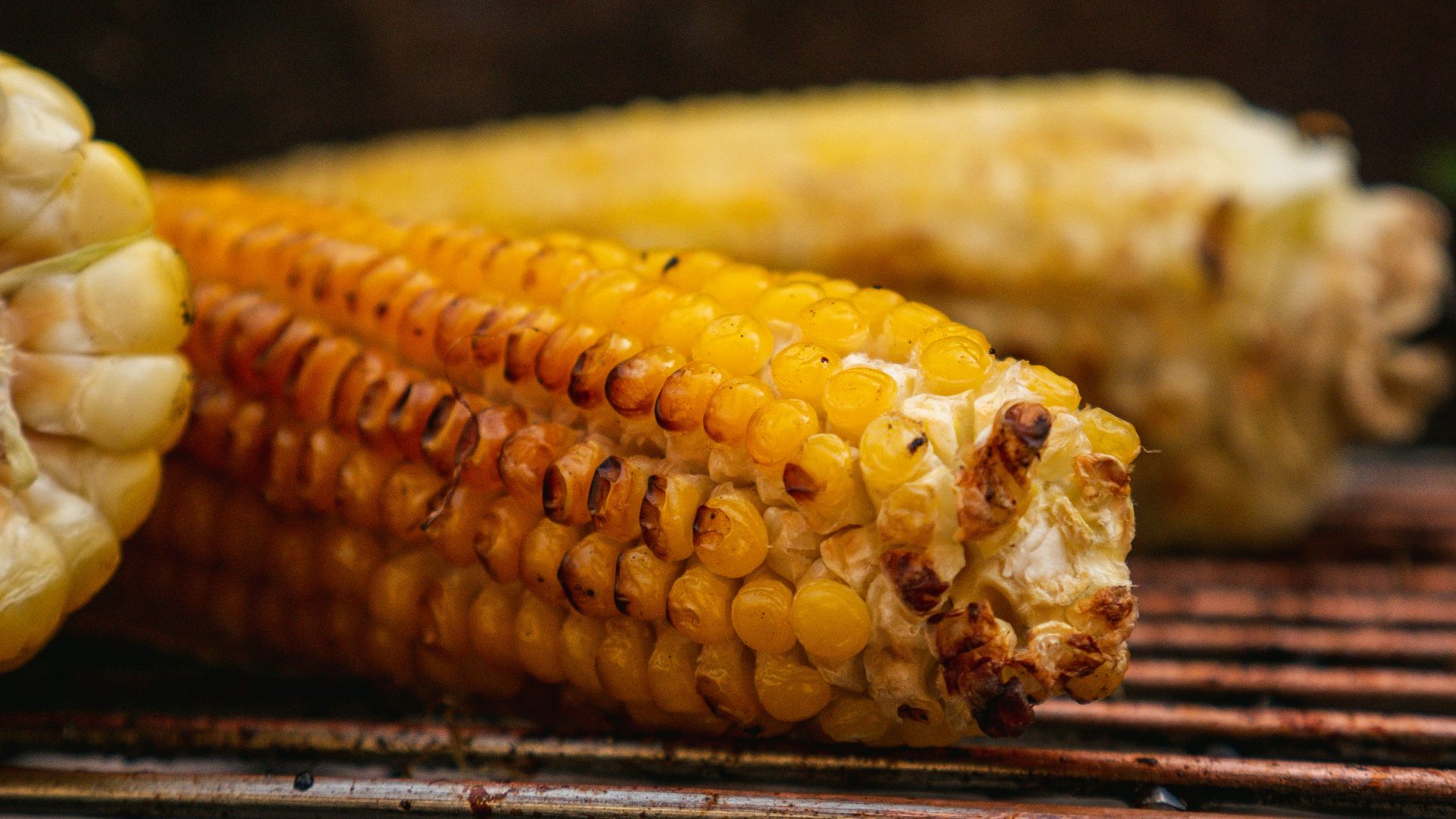 yellow corn on stainless steel tray
