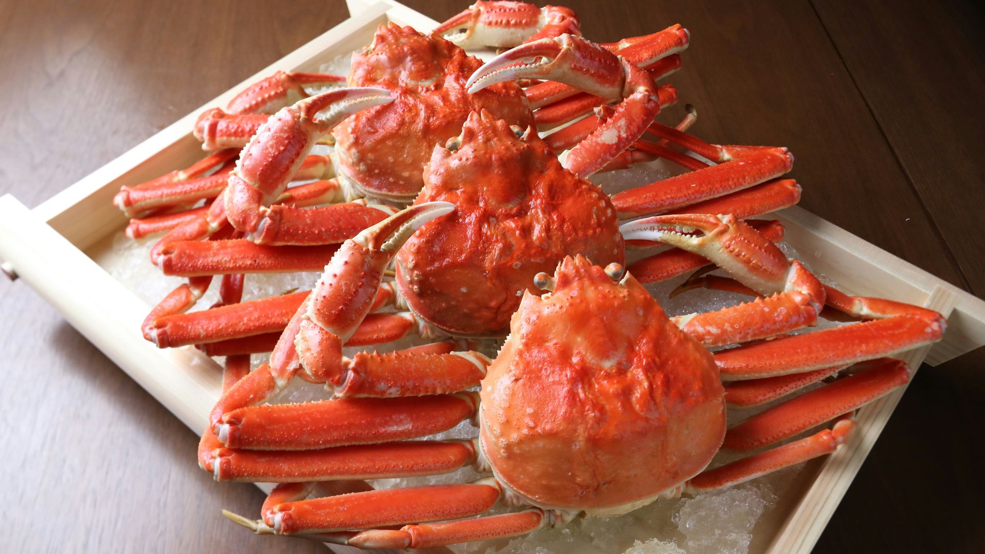 A tray of cooked crabs on ice on a table