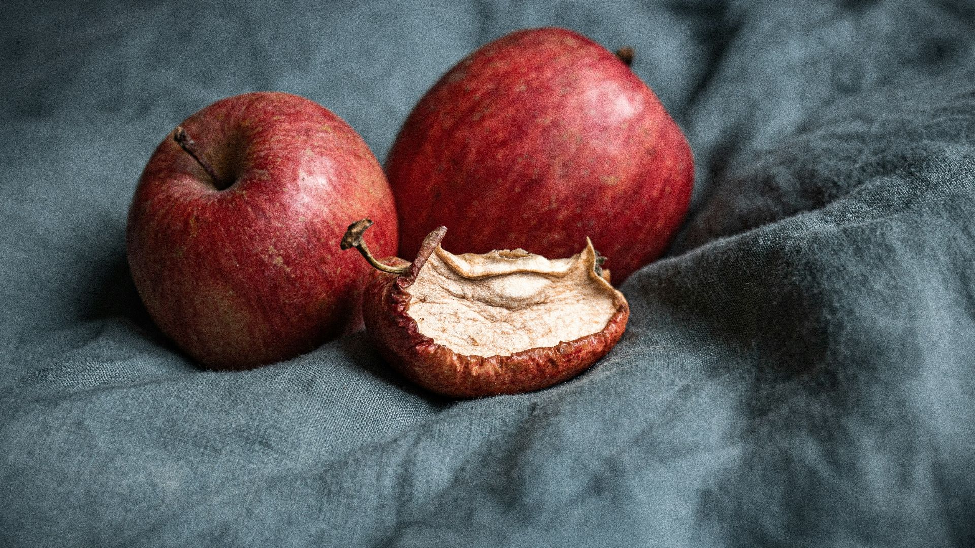 red apple fruit on gray textile