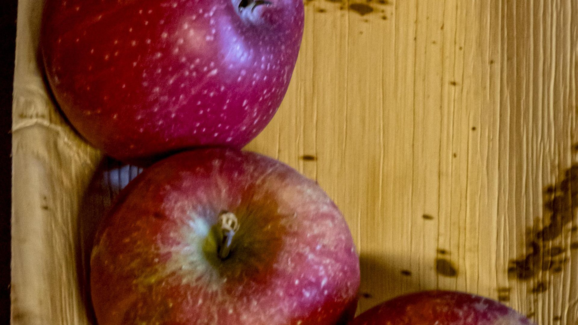 File:Morgenduft (Rome of Beauty) (apple) jm179369.jpg