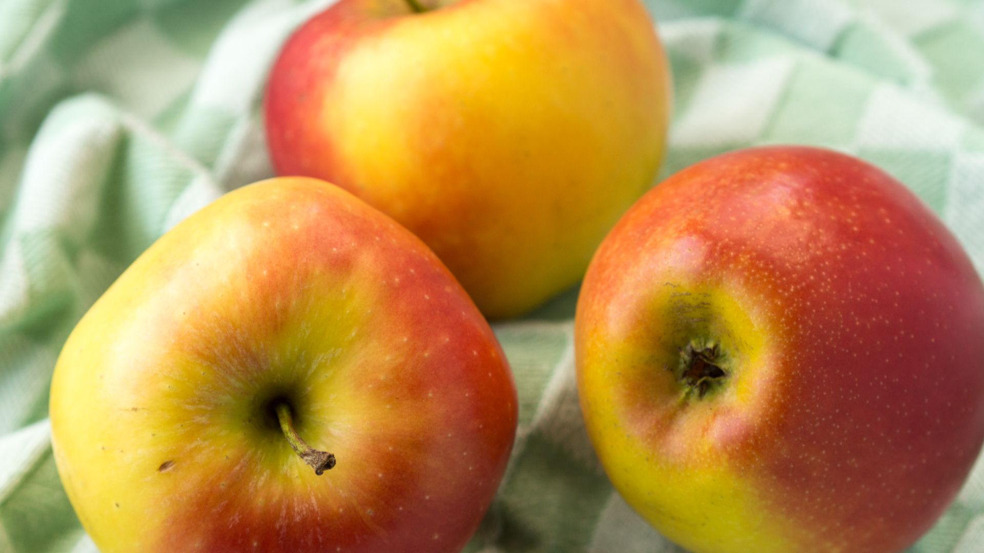 File:Kanzi apples.jpg