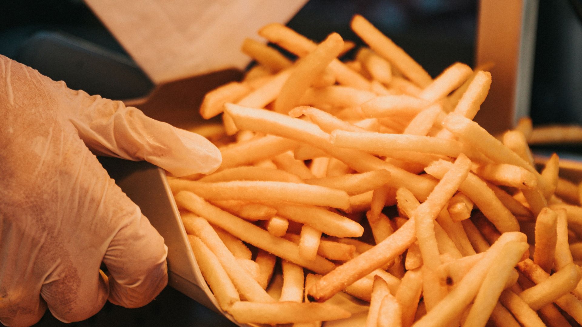 person holding brown wooden stick