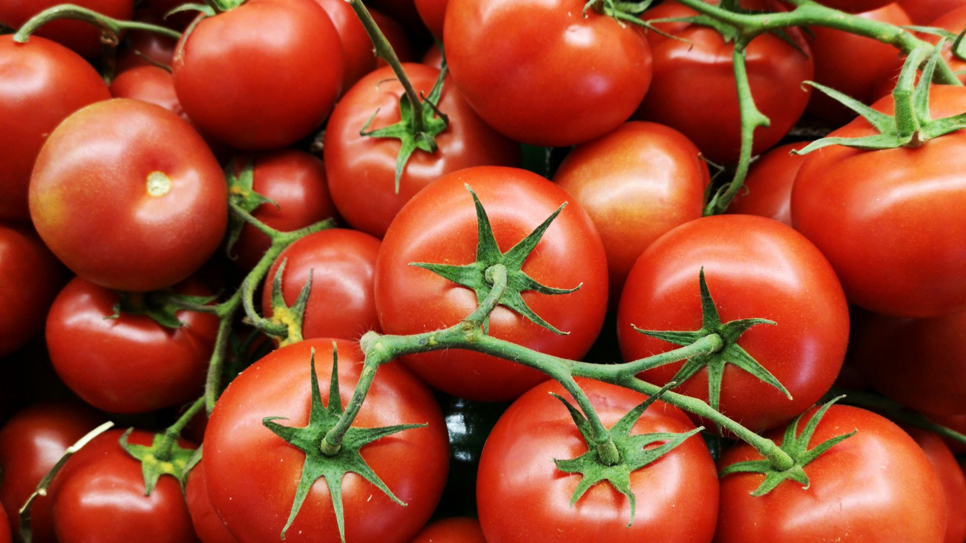 red tomatoes on brown wooden table