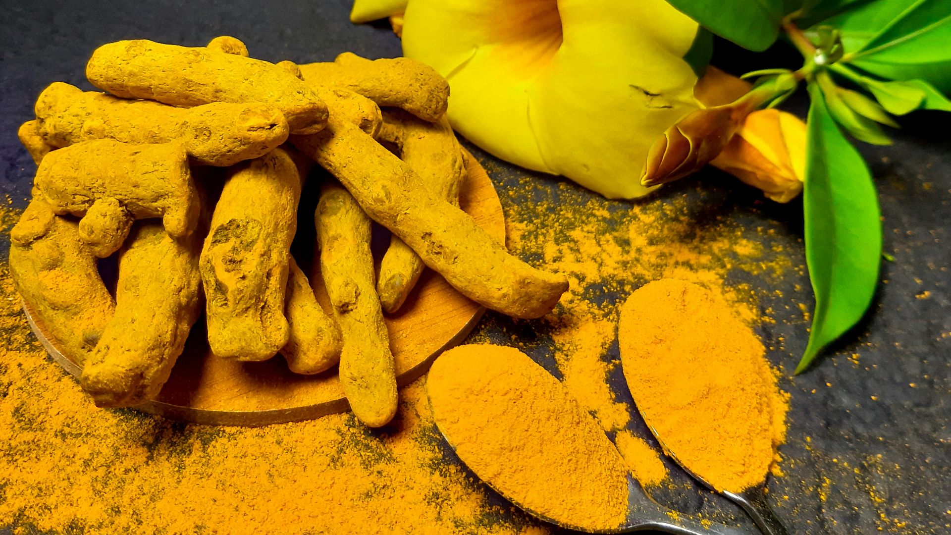 yellow flower on gray surface