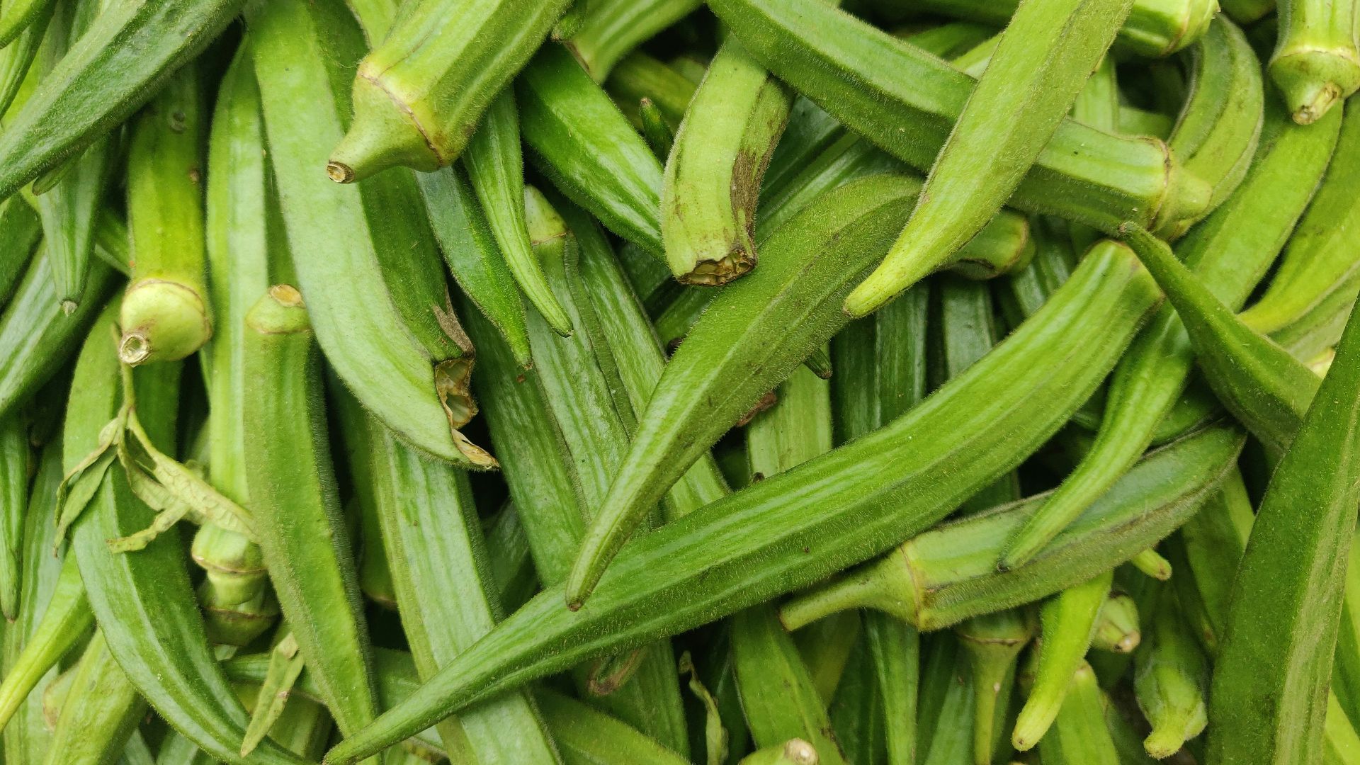 a close up of green beans