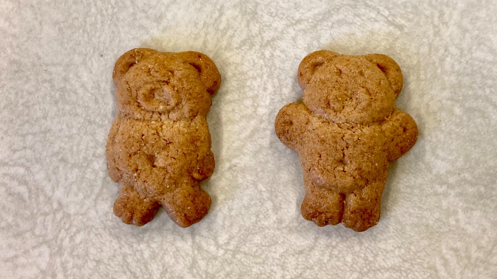 File:TeddyCookieHoney.jpg