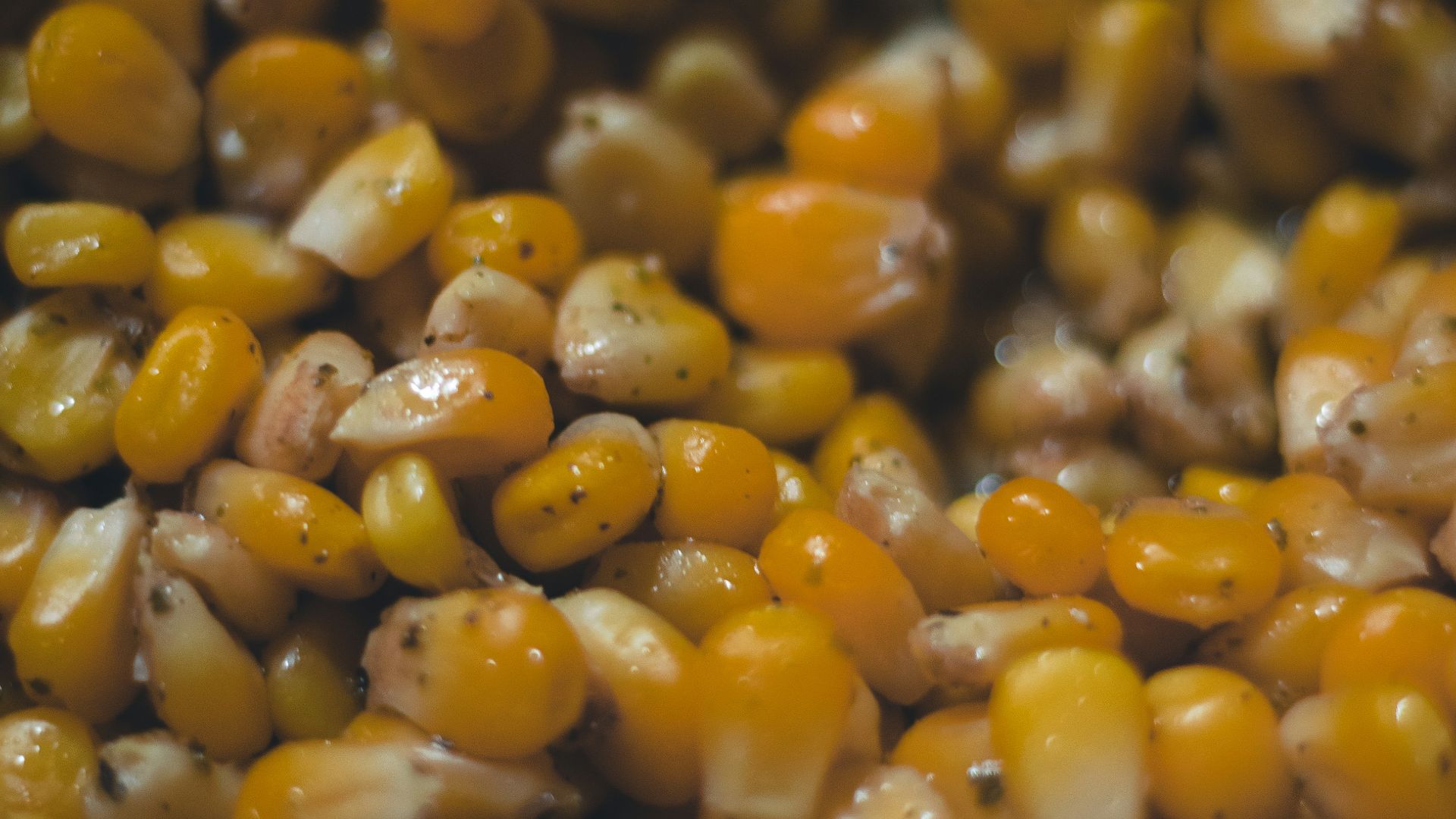 a close up of a bowl of corn