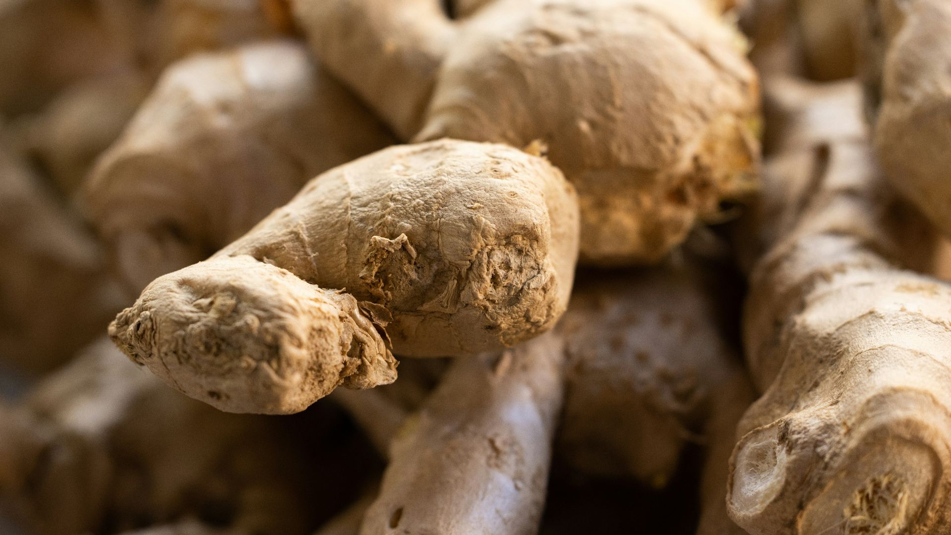 a close up of a bunch of ginger roots