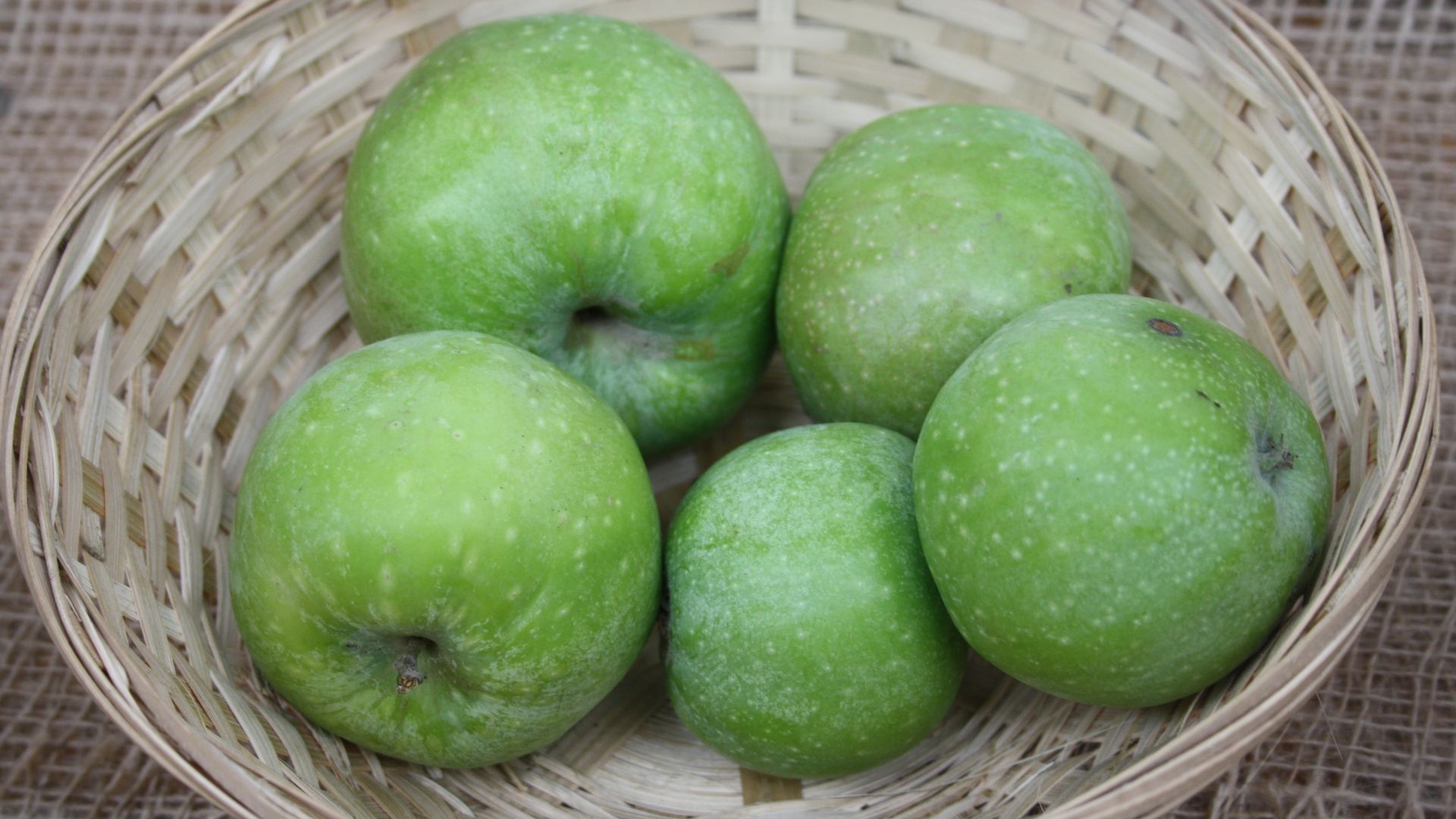 File:Granny Smith Wulksfelde.jpg