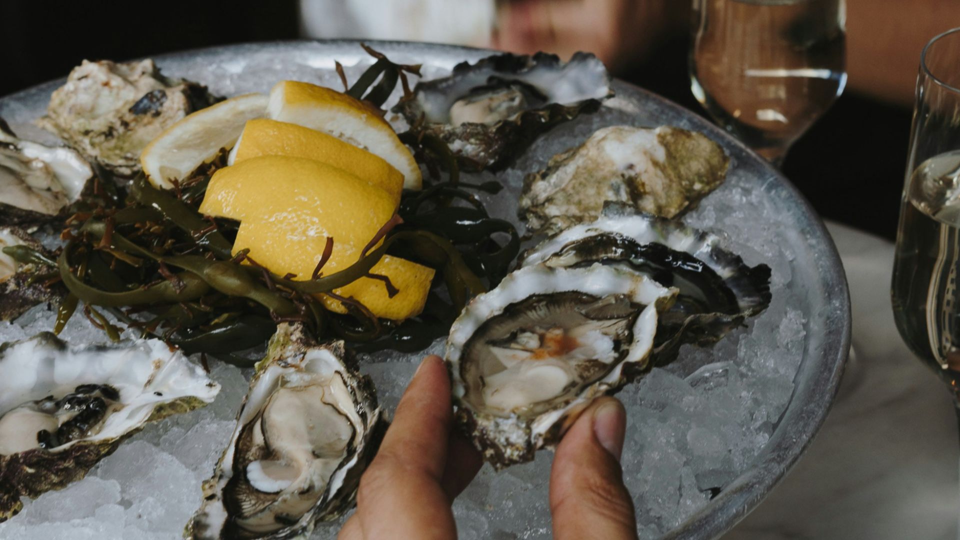 a person holding a plate of oysters with lemon wedges