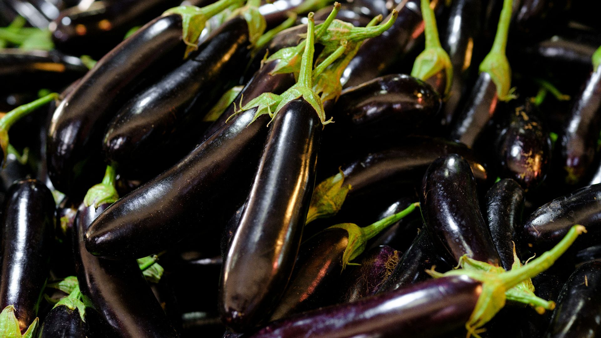 a pile of purple eggplant with green stems