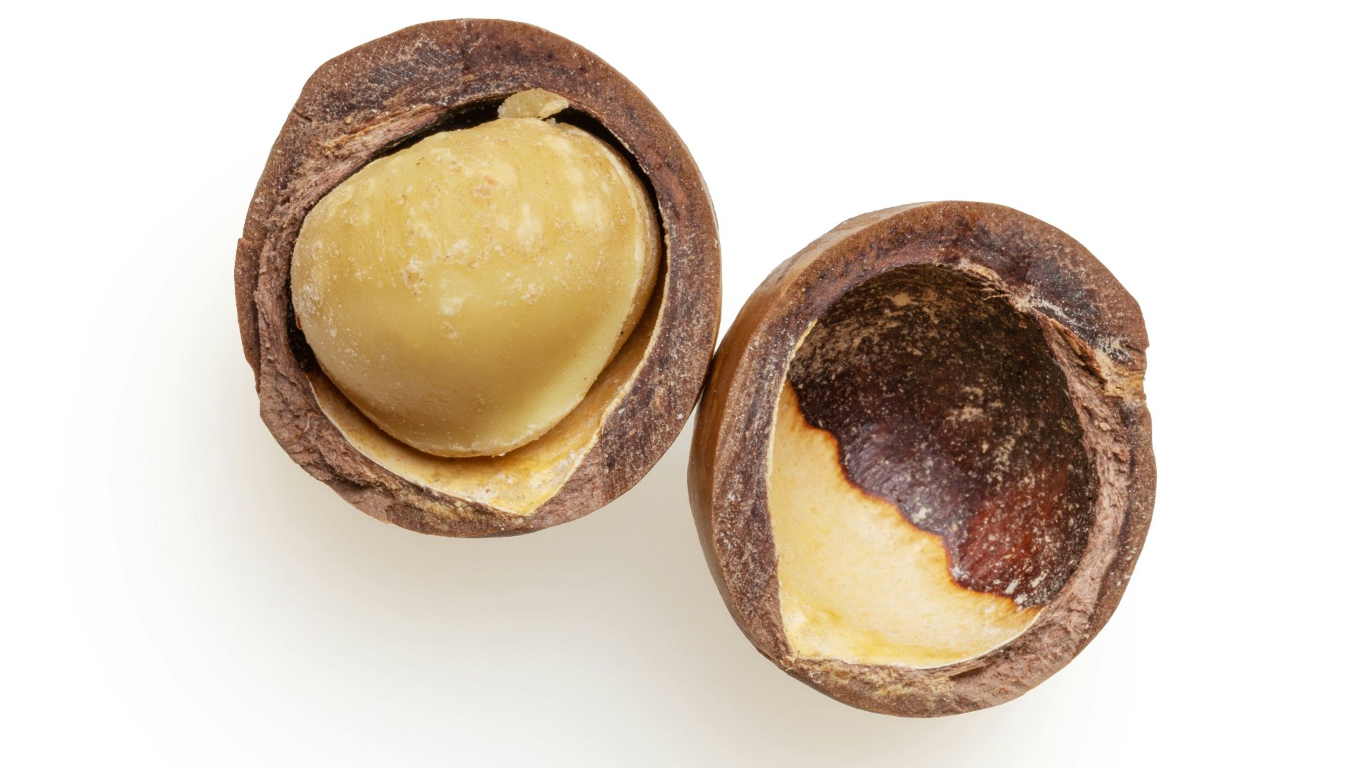 two brown bread on white surface