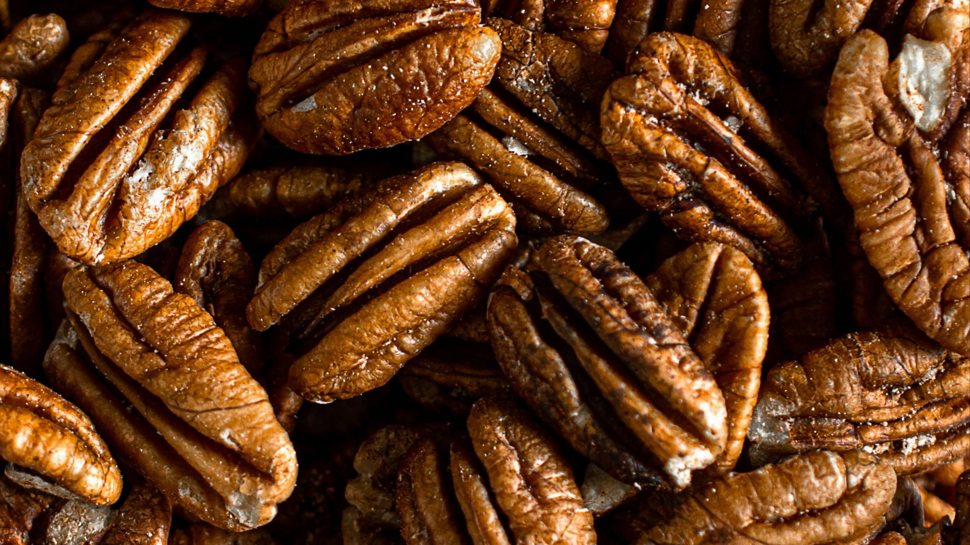 brown coffee beans in close up photography