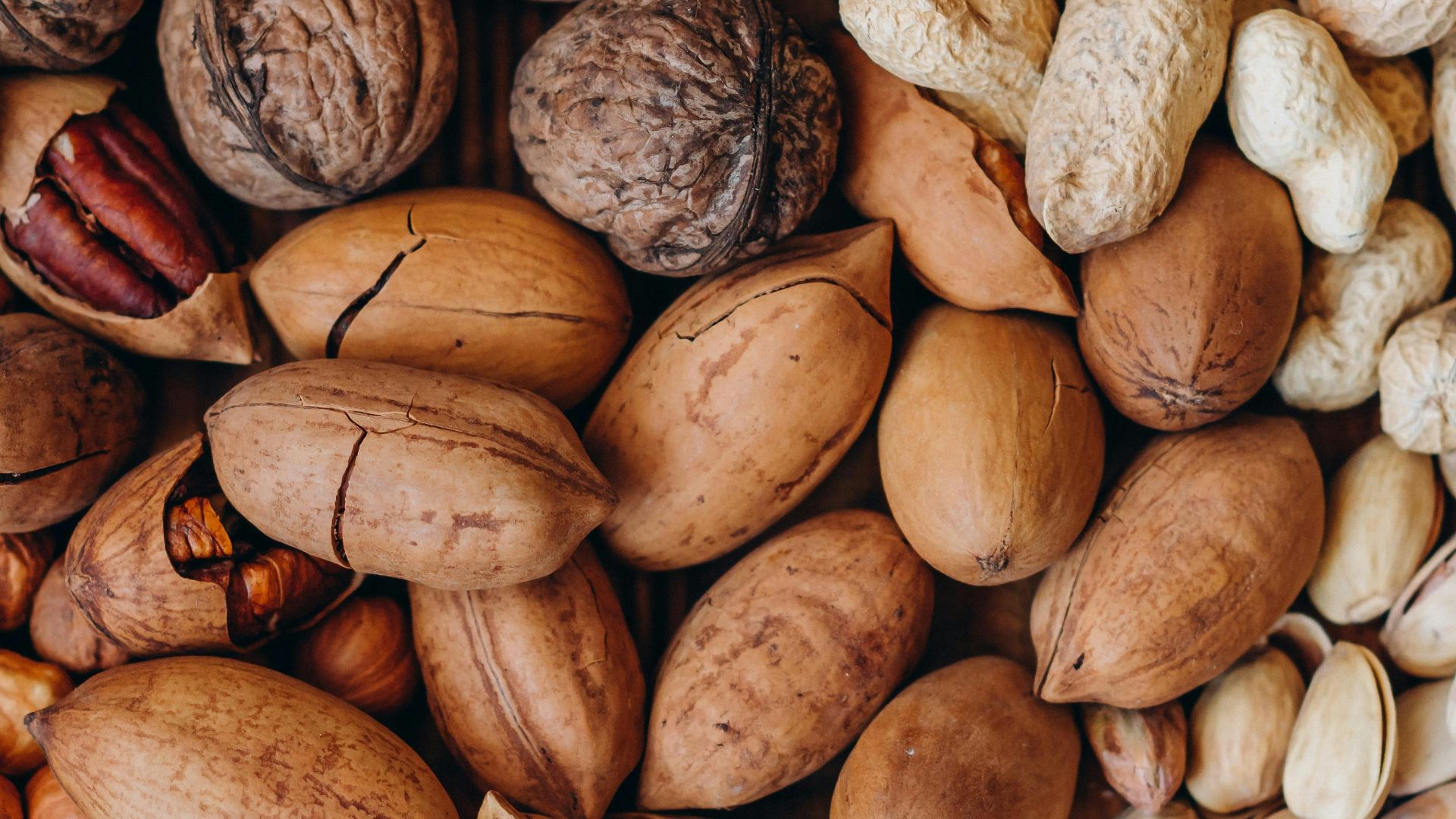 brown and beige nut lot