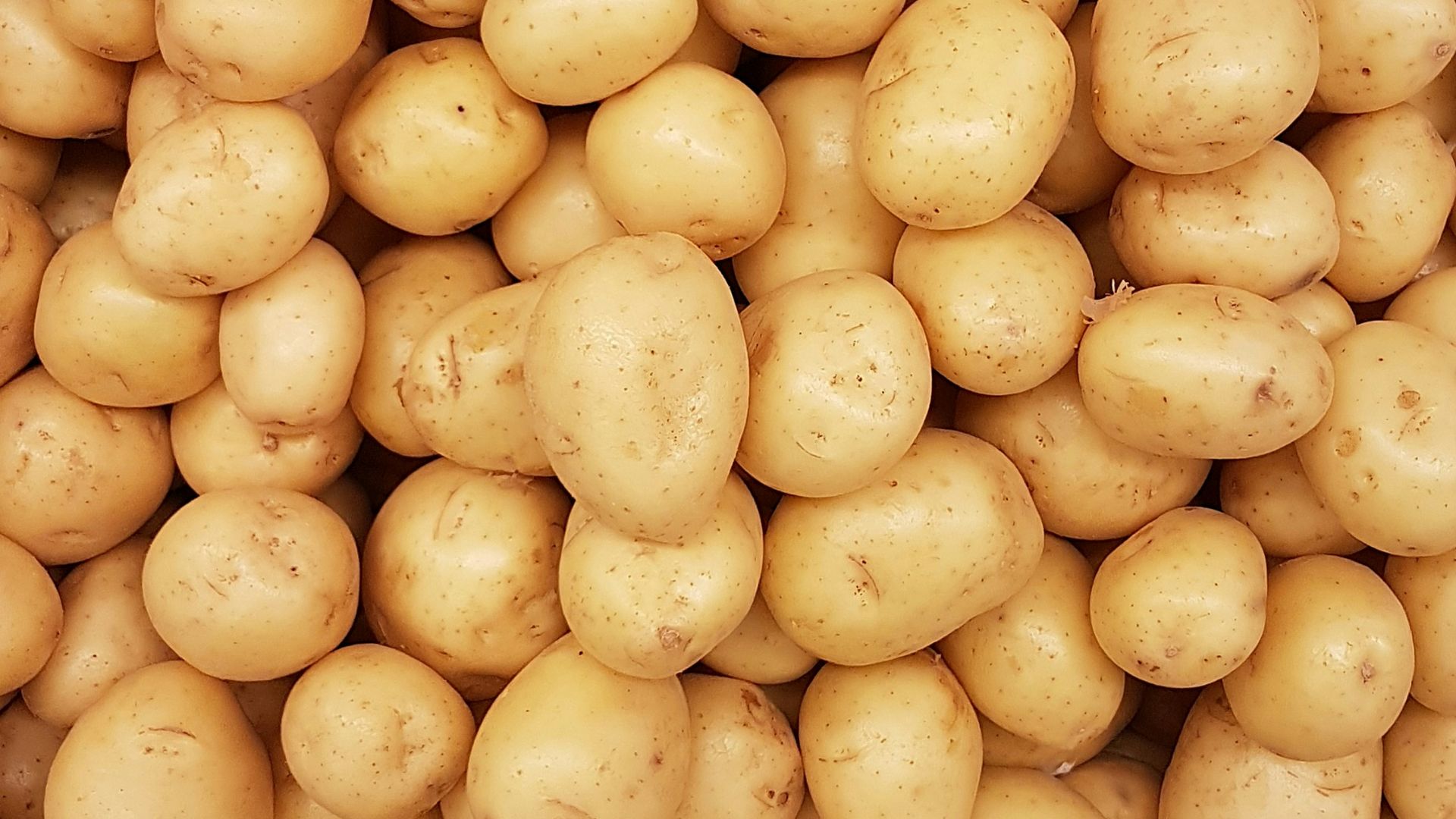yellow round fruits on white surface