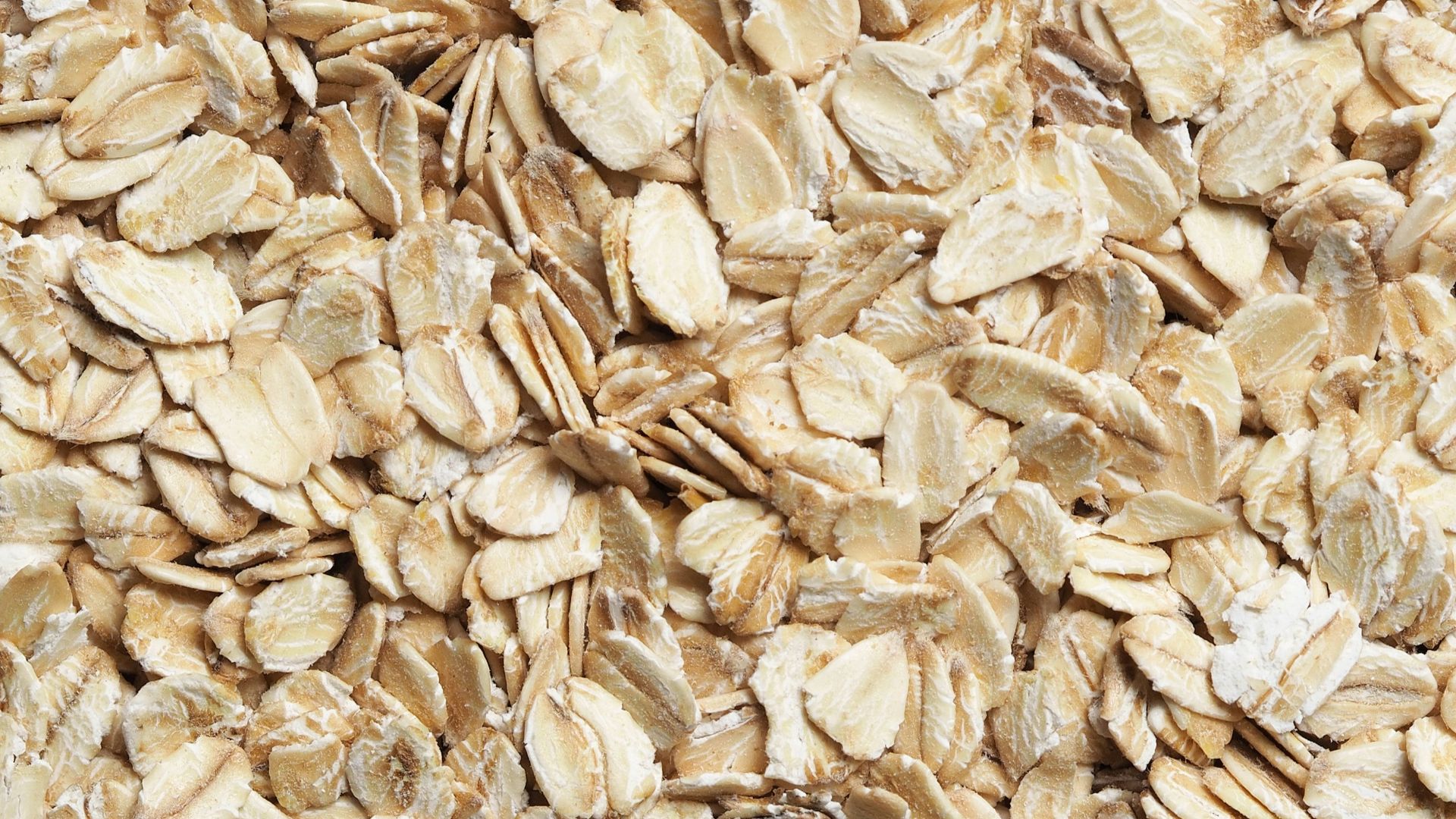 brown dried leaves on ground