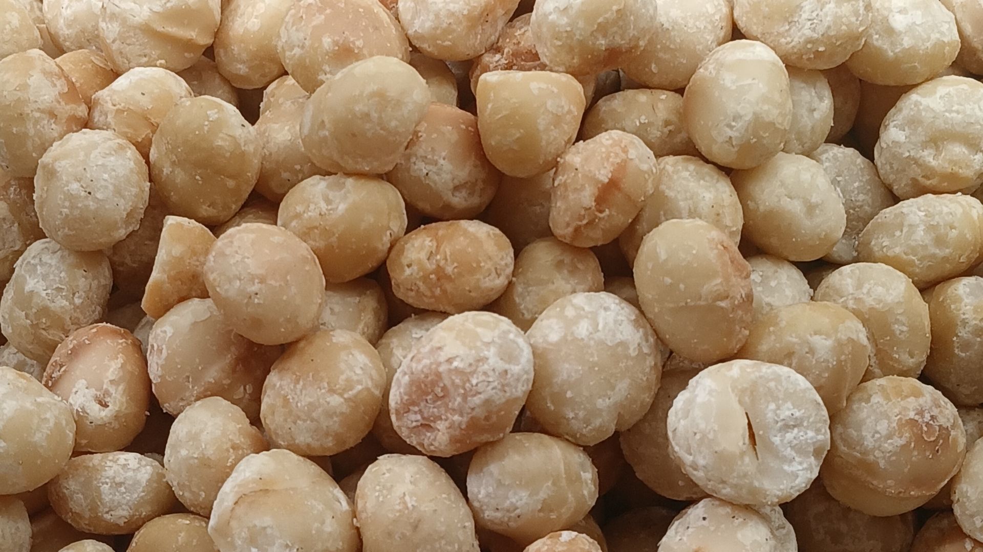 File:Macadamia nut kernels.jpg
