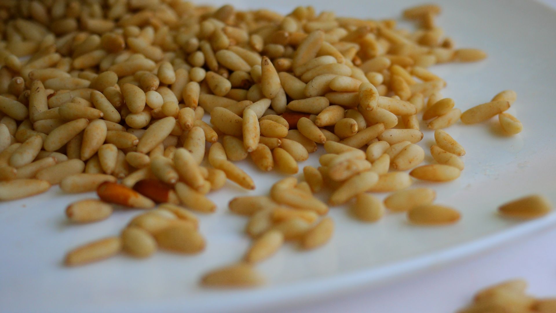 brown peanuts on white ceramic plate