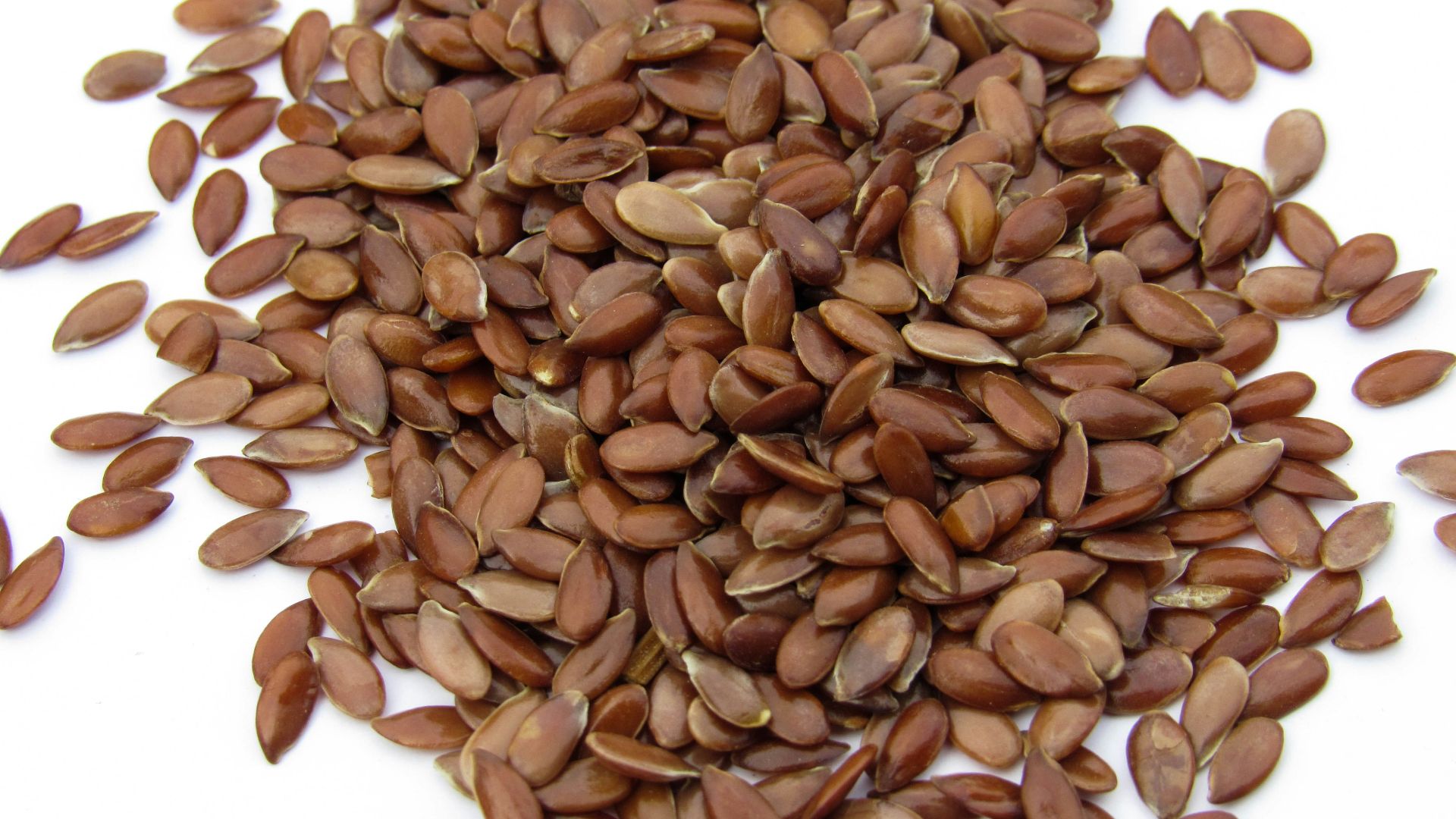 a pile of sunflower seeds on a white surface