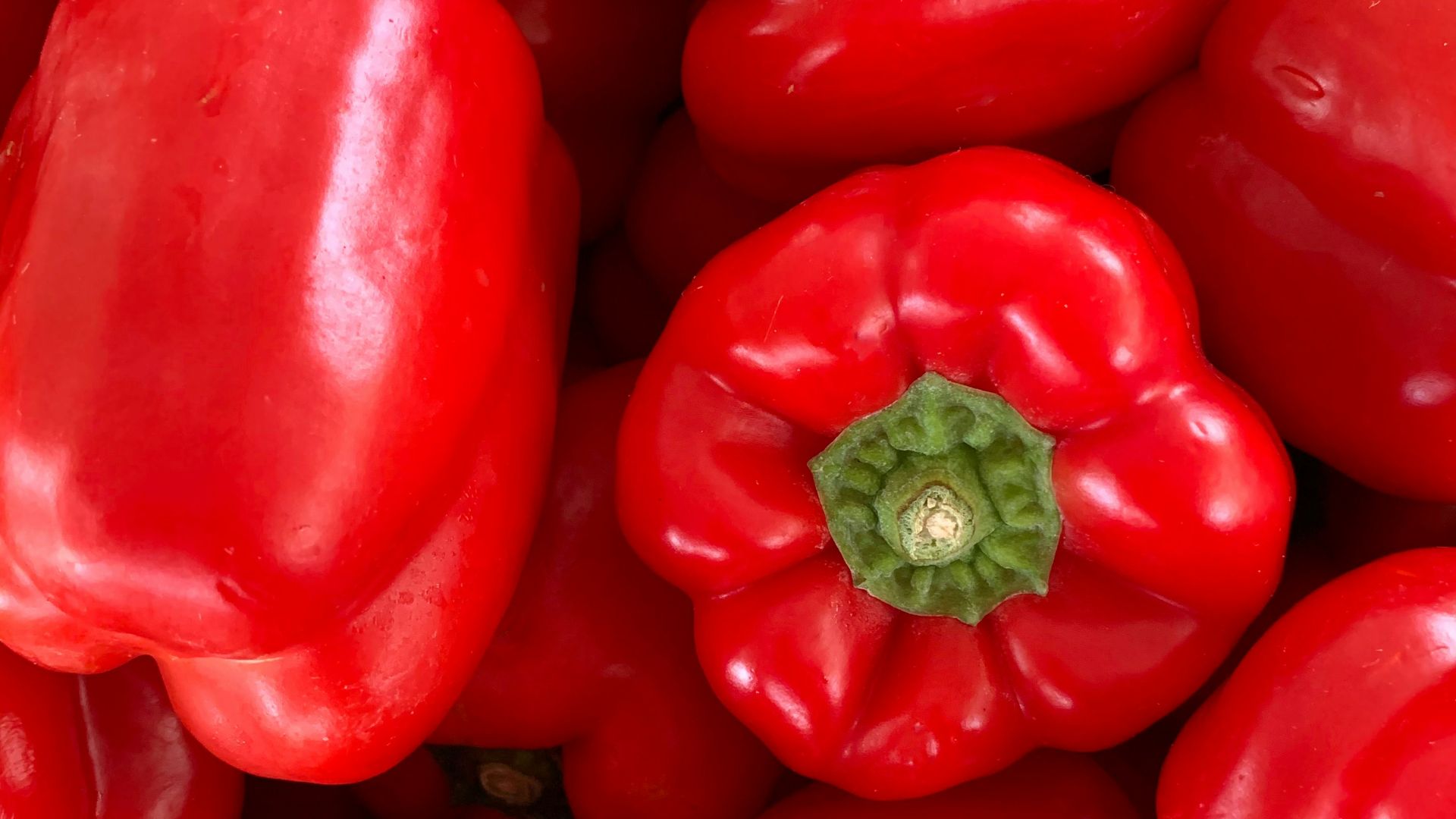 red bell pepper in close up photography