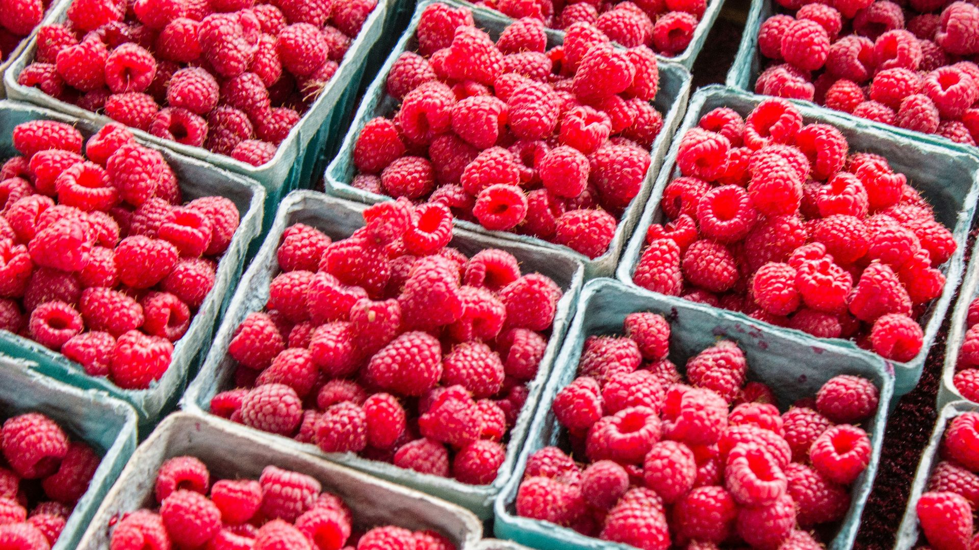 fresh raspberries are displayed in trays for sale