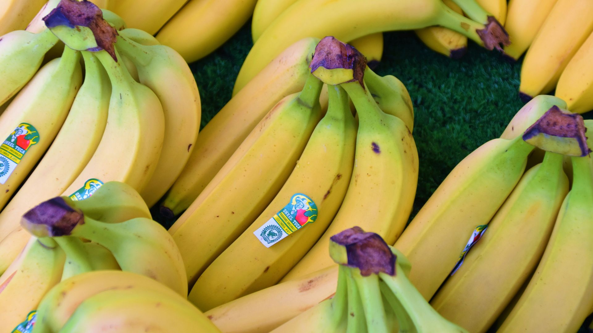 yellow banana fruit on blue textile