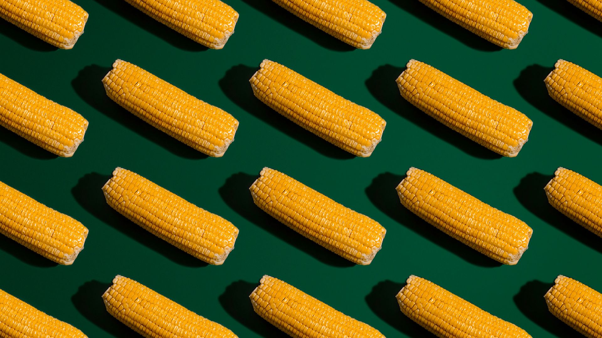 yellow corn on white ceramic plate