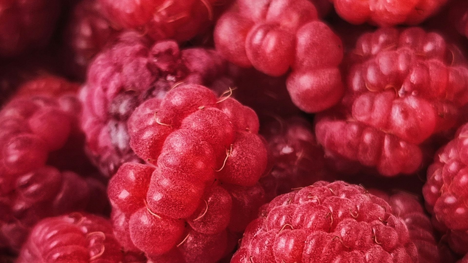 a pile of raspberries