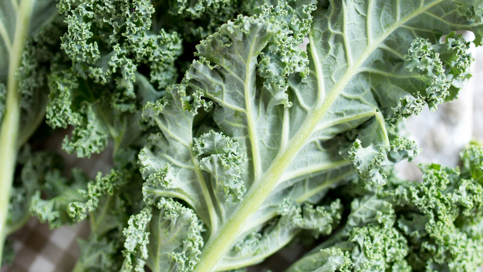 green leaf vegetable