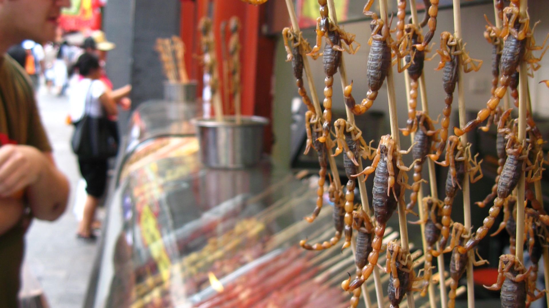 File:Scorpions on Wangfujing Dajie snack street in Beijing.jpg