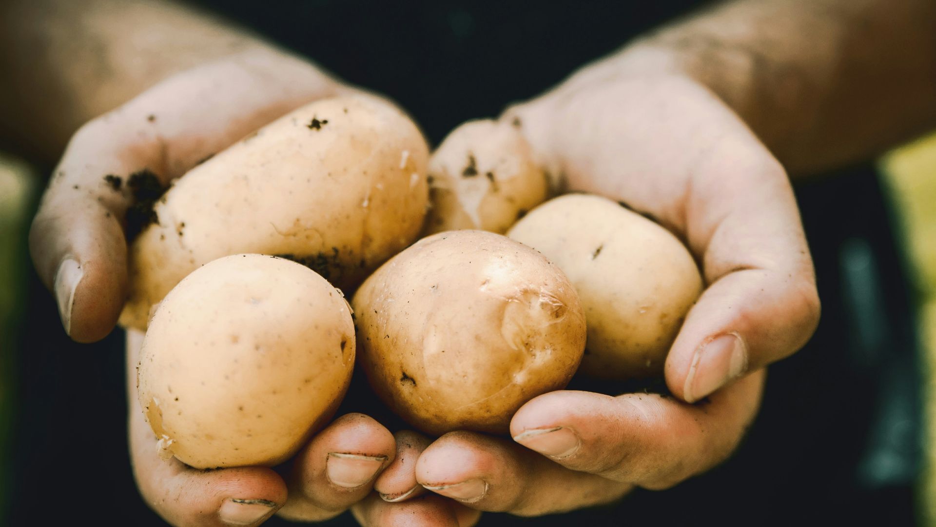 bunch of potatoes