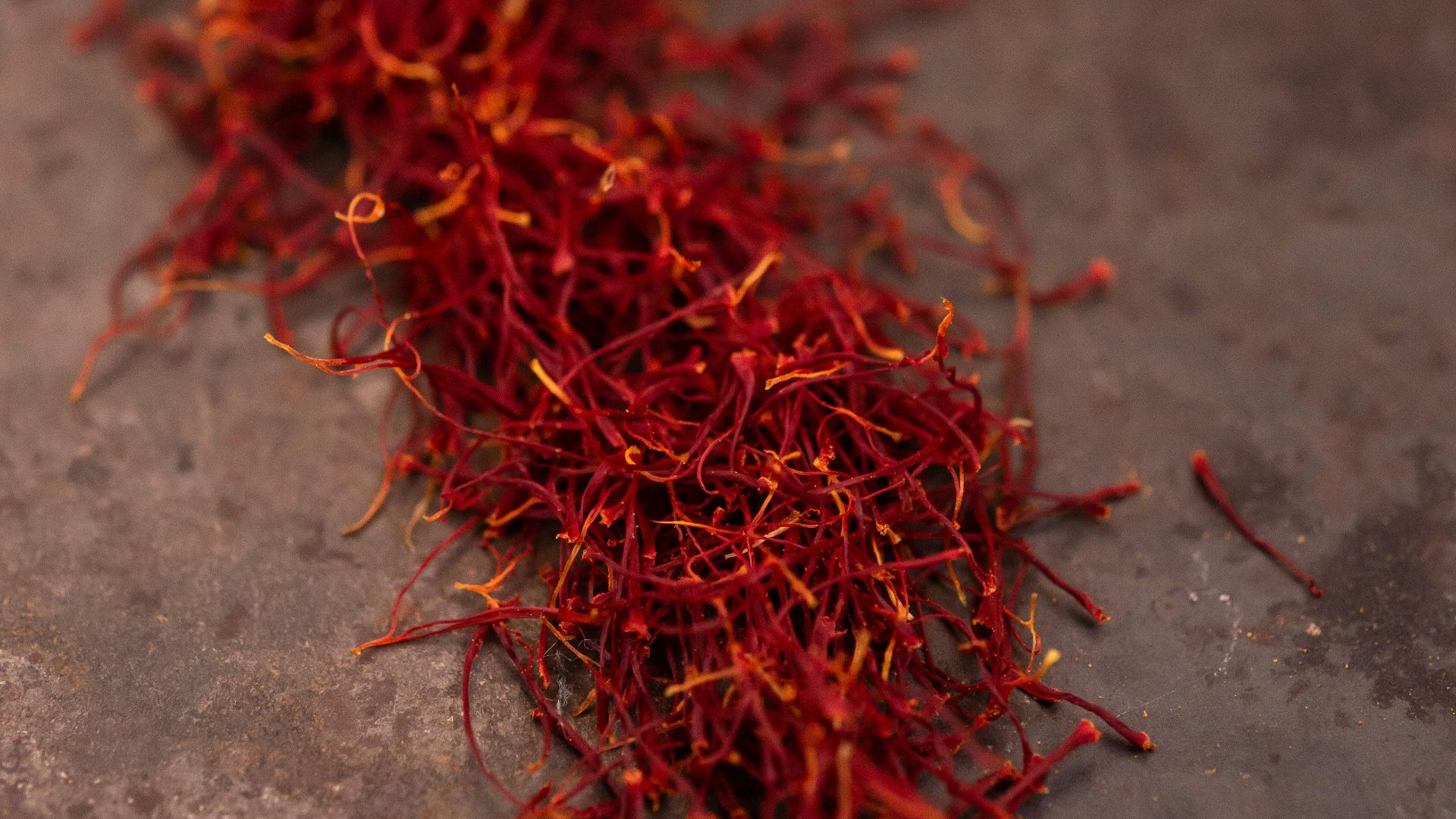 red and brown fur on gray concrete floor