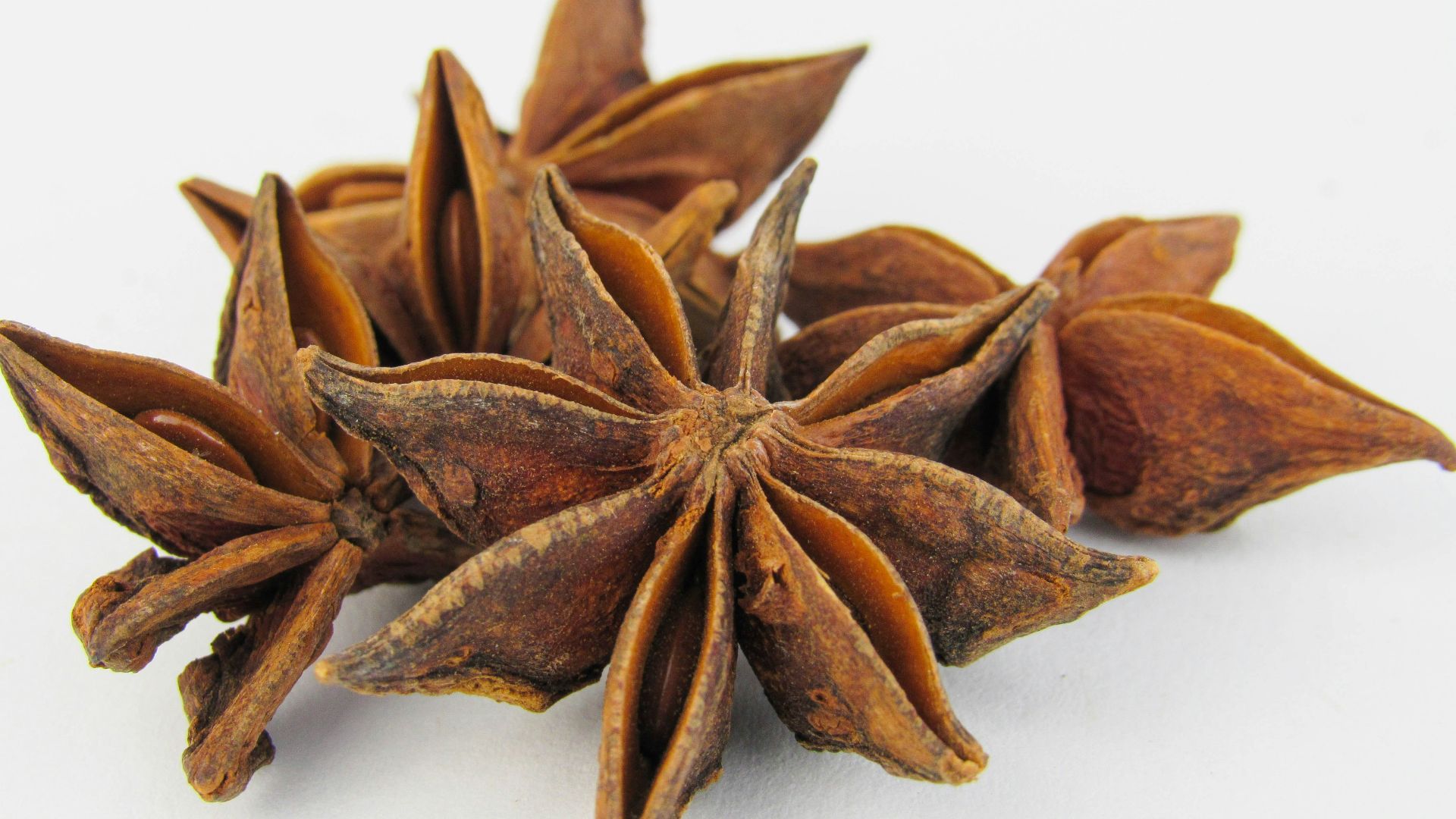 a group of star anise on a white background