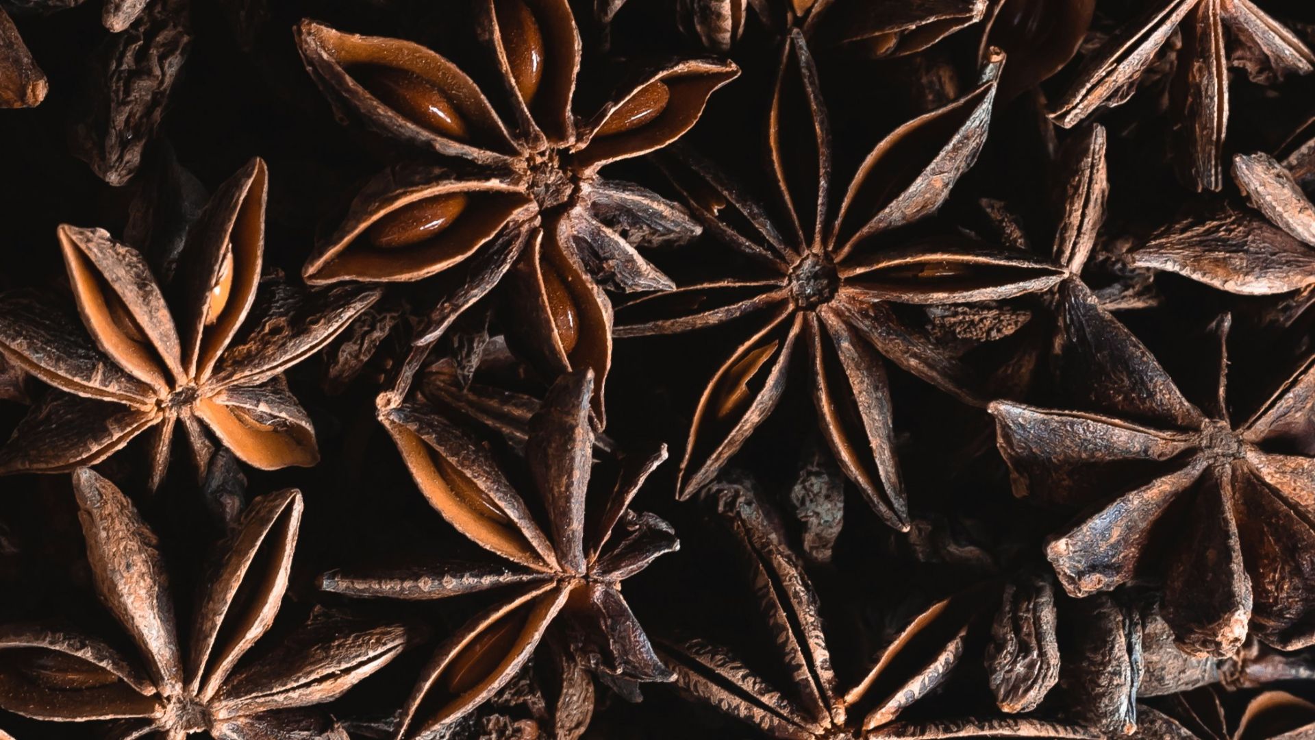a bunch of star anise on a table
