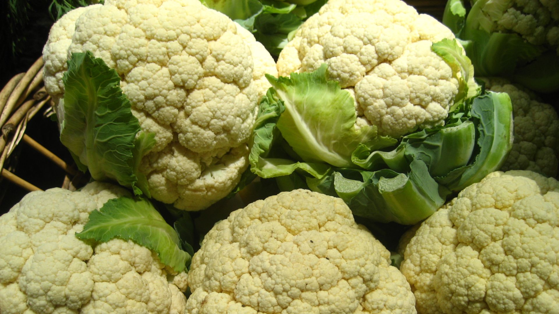 File:Cauliflower (4701349936).jpg