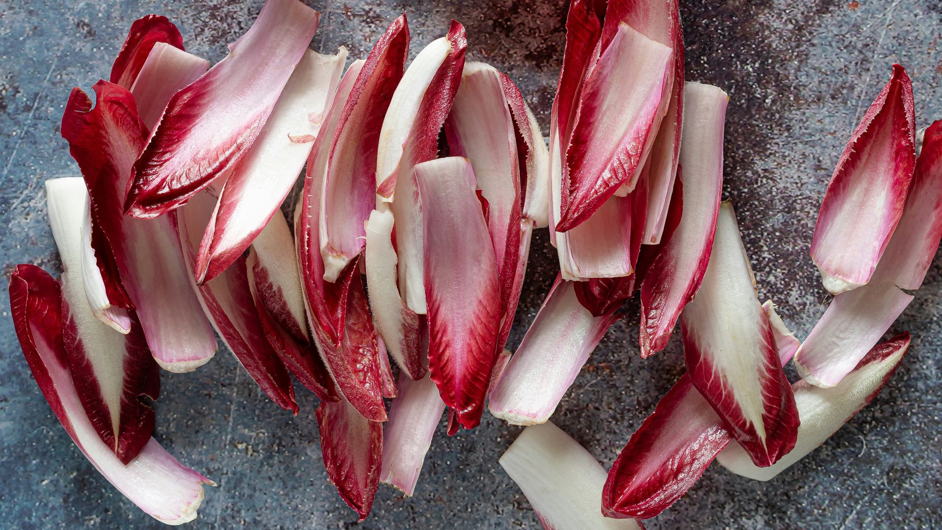 red and white petals on gray concrete floor