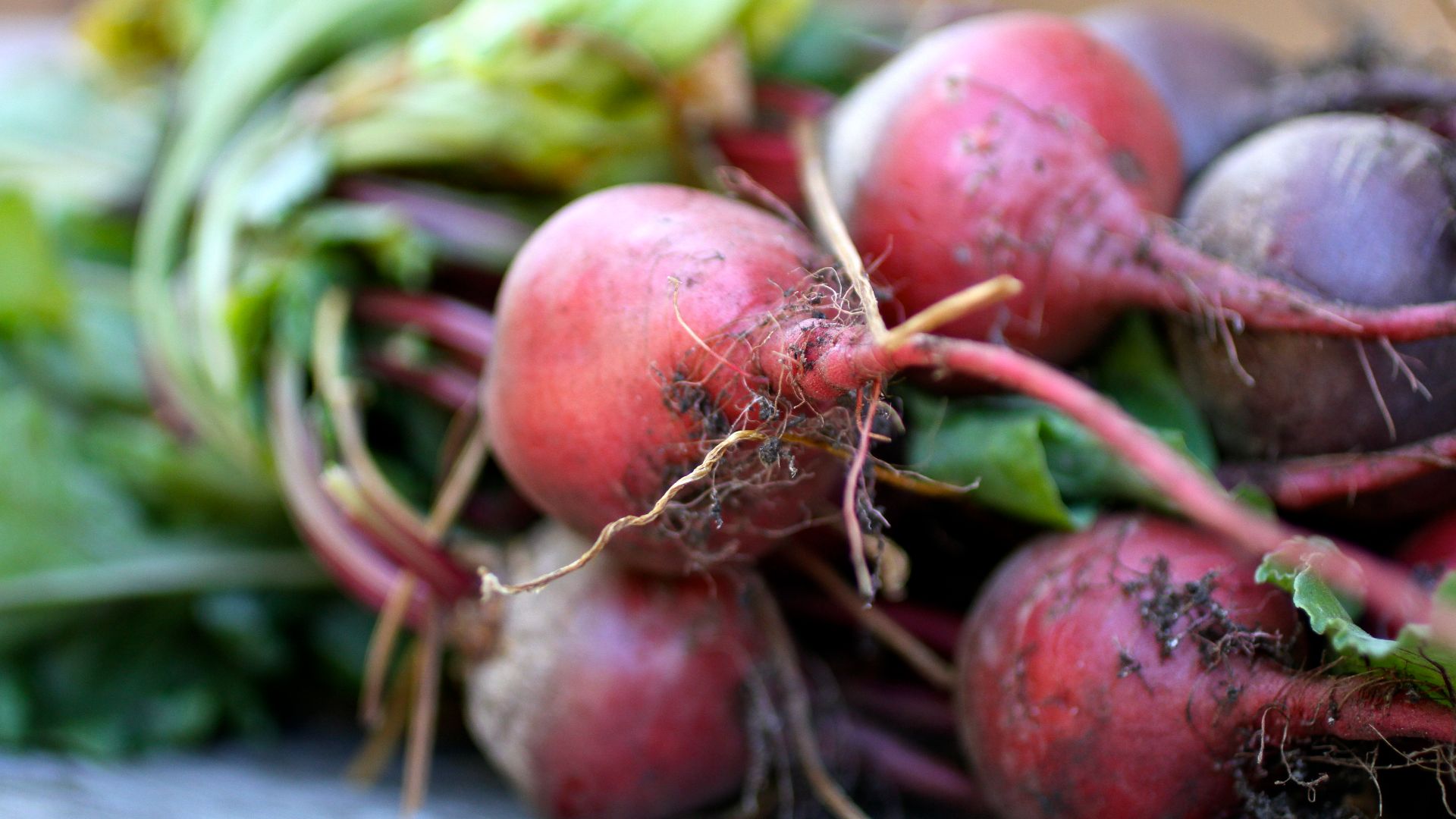 File:Beets - 9690511364.jpg