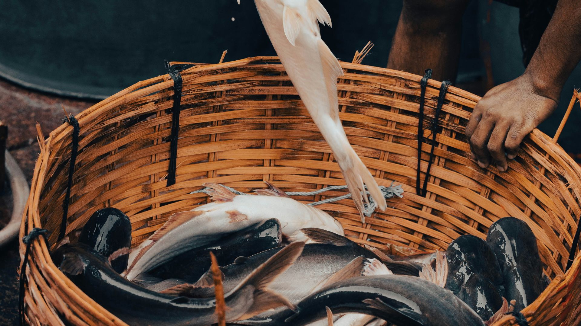 a man holding a fish in a basket