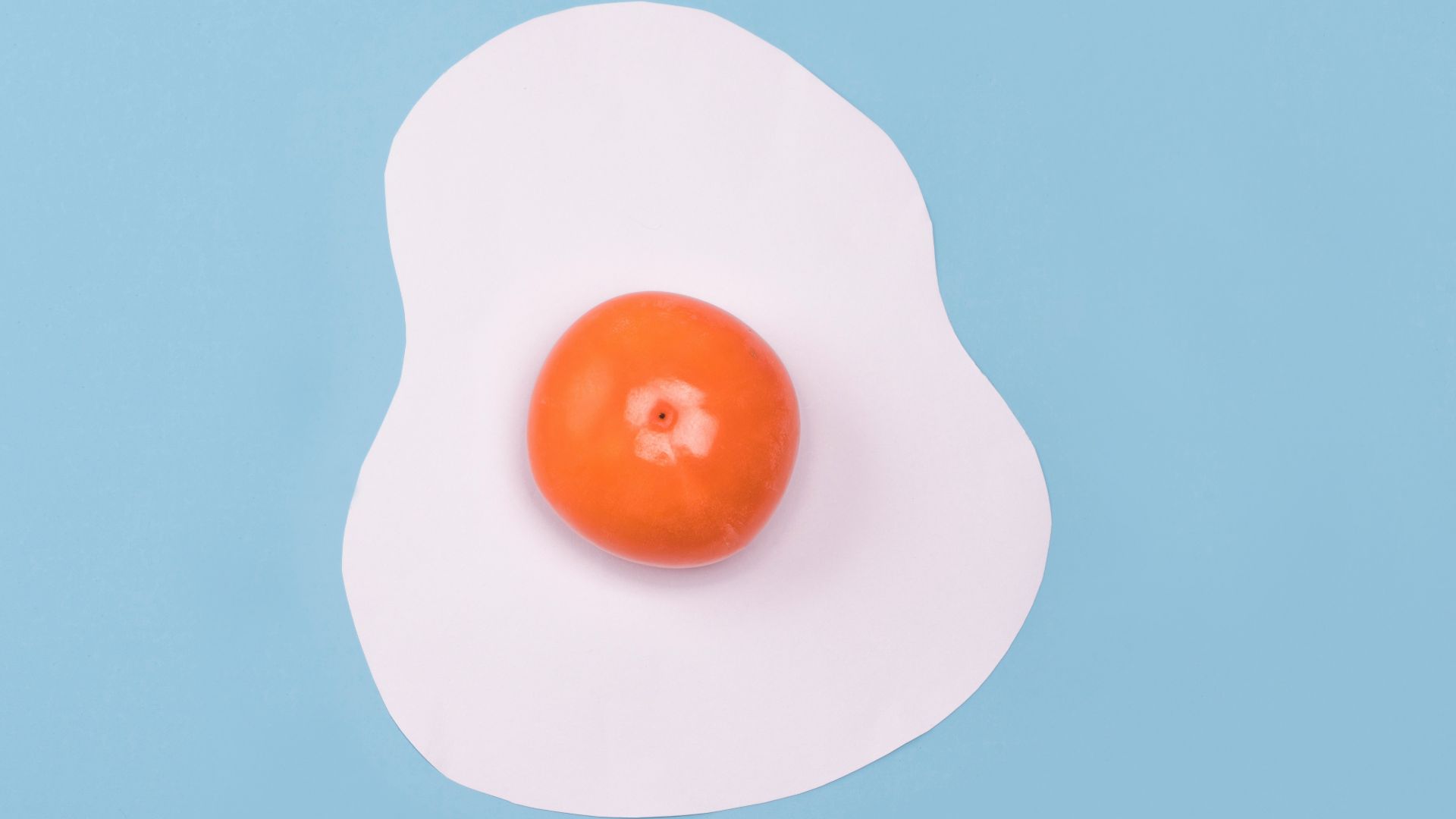 fried egg plastic toy