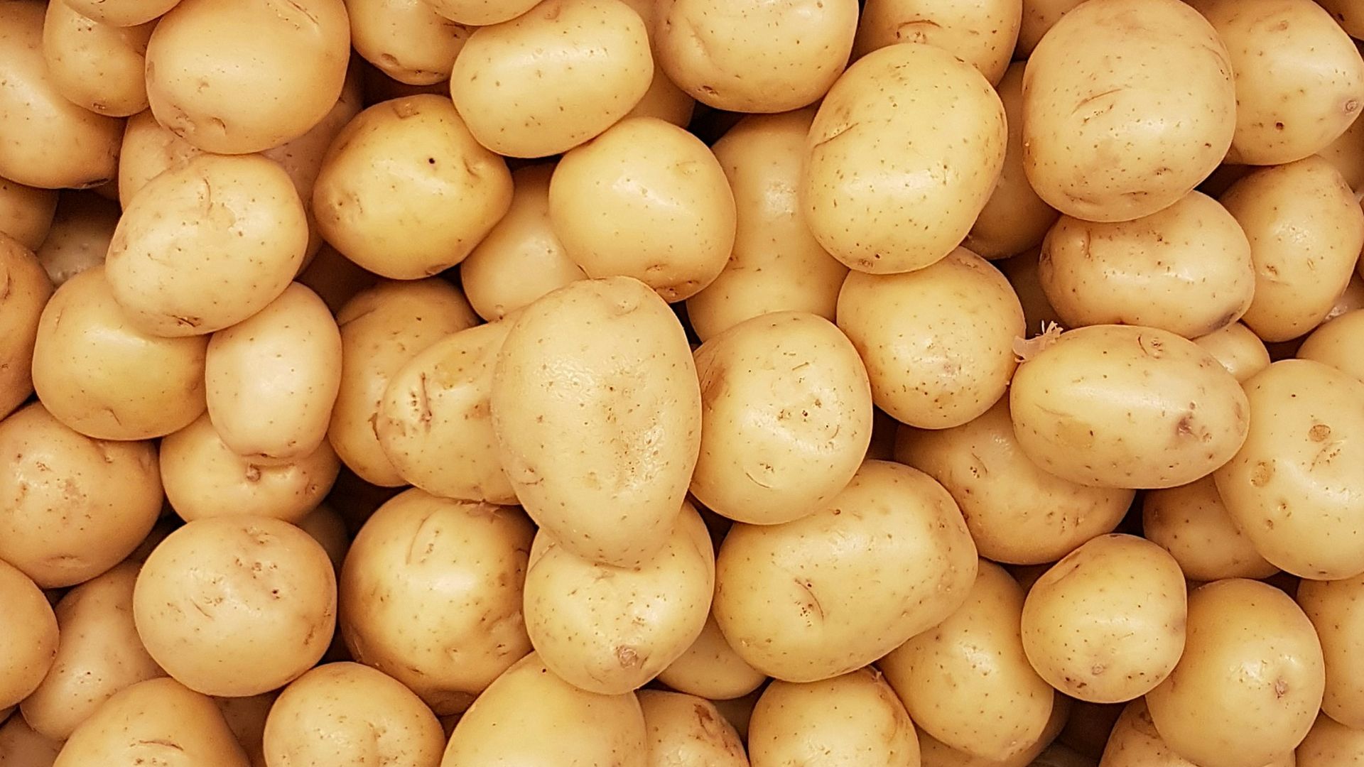 yellow round fruits on white surface